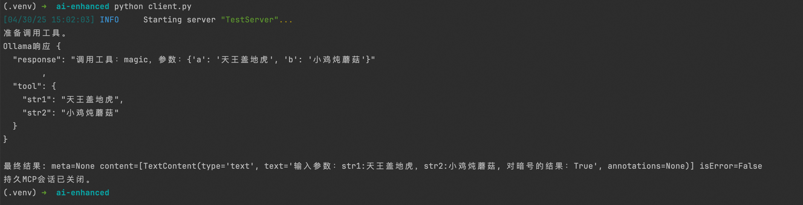 mcp-py-client.png